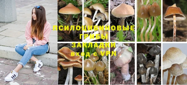 jwh Верхний Тагил