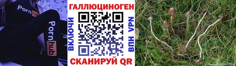 Купить закладки  Лесной  Псилоцибиновые грибы мухоморы 