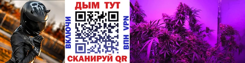 Марихуана VHQ  Купить закладки  Лесной 